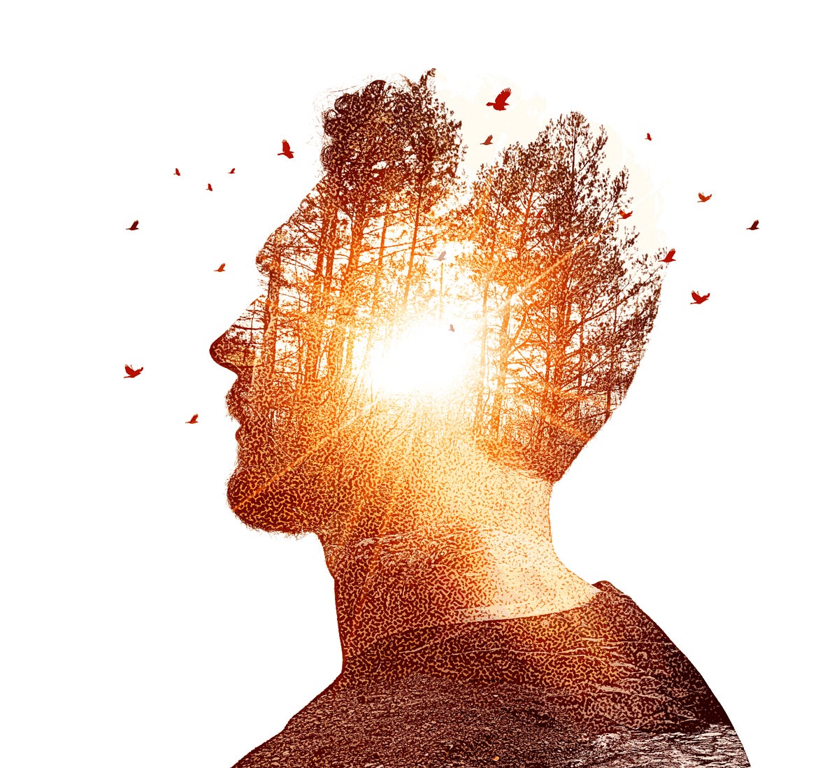 Struggle of Living with a Broken Mind