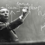 Finding a Reason to Live