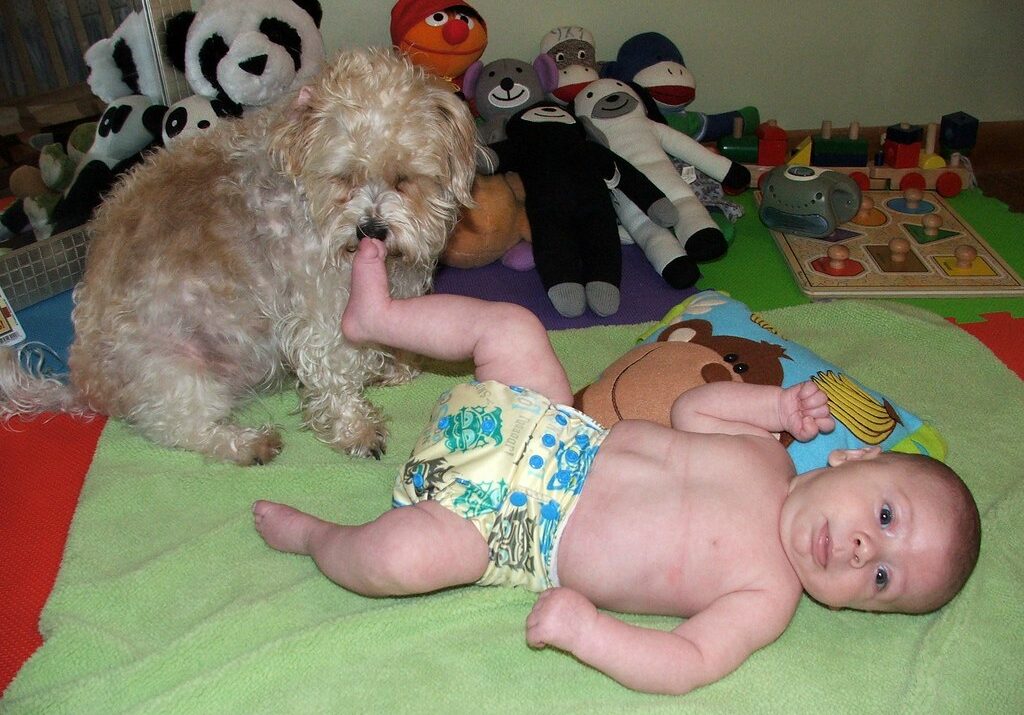 stuffed animals are alive