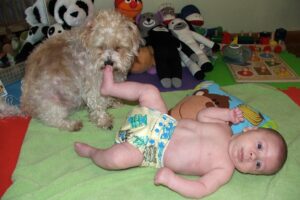 stuffed animals are alive