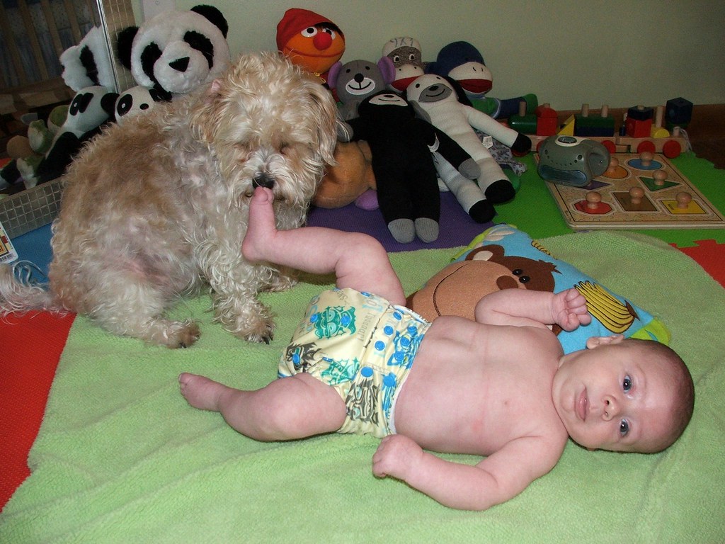 stuffed animals are alive